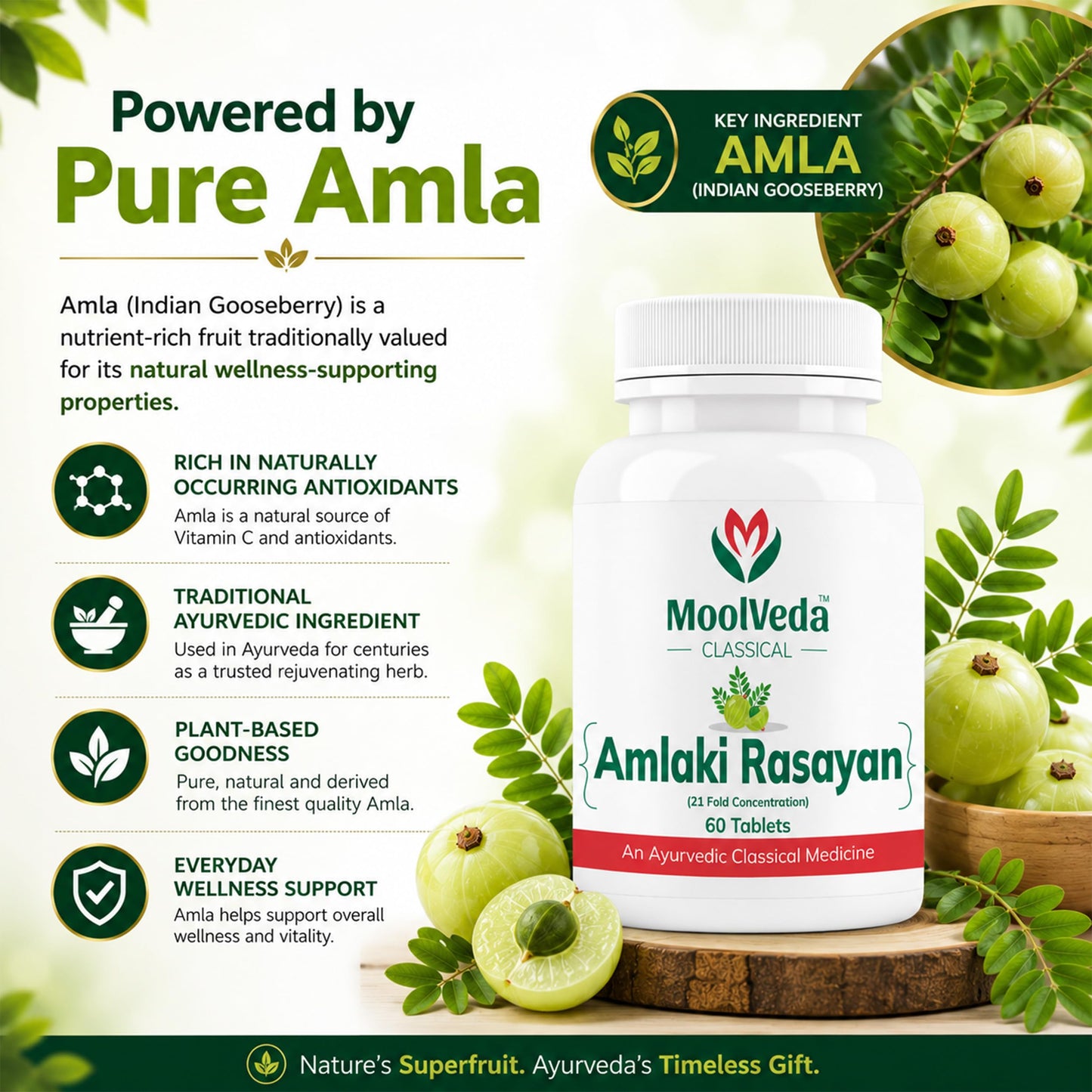Moolveda Amalaki Rasayan Tablet for Daily Wellness & General Well-Being | 60 Veg Tablets