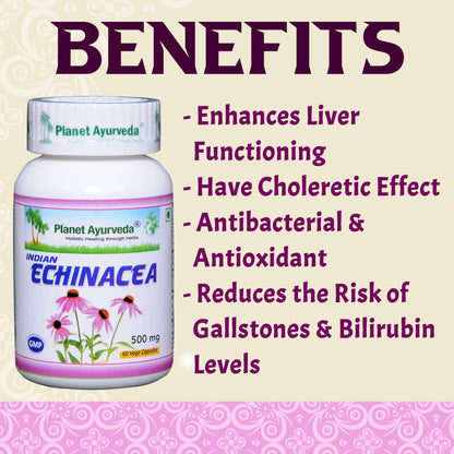 Planet Ayurveda Indian Echinacea Capsules - 60 Capsules | Removes Liver- image 7