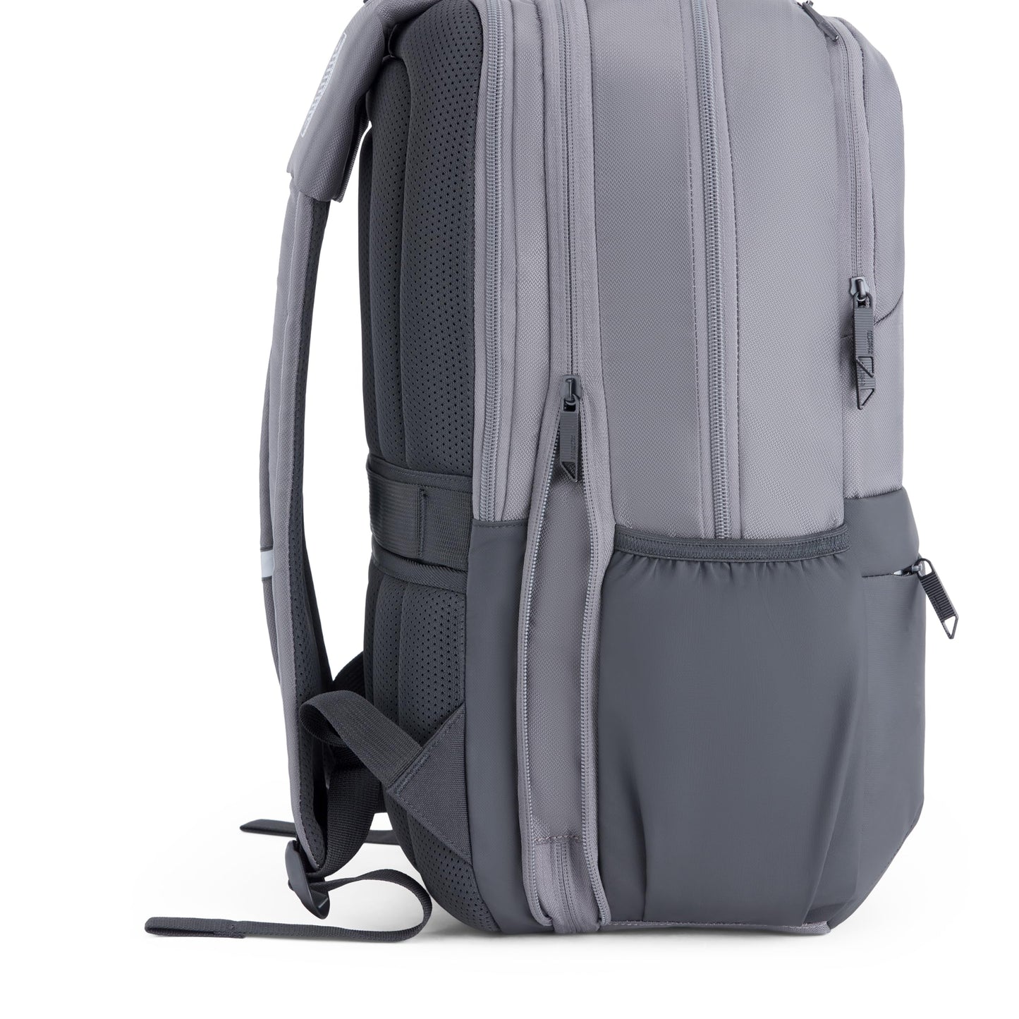American Tourister Segno 4.0 | 30 Ltrs | 3 Compartments | Bottle Pocket | Ergonomic Padded Back Panel & Shoulder Straps | Laptop Backpack | 1 Year International Warranty | Grey