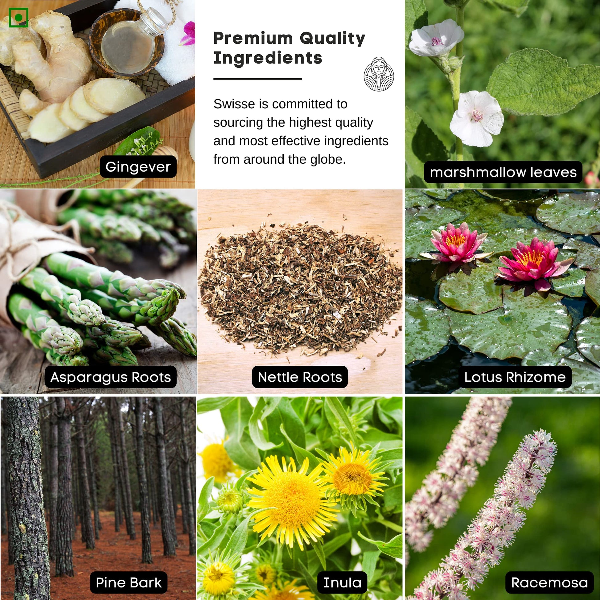 The Old Natural Lungs Detox for Smokers & Pollution – 19-in-1 Formula w- image 3