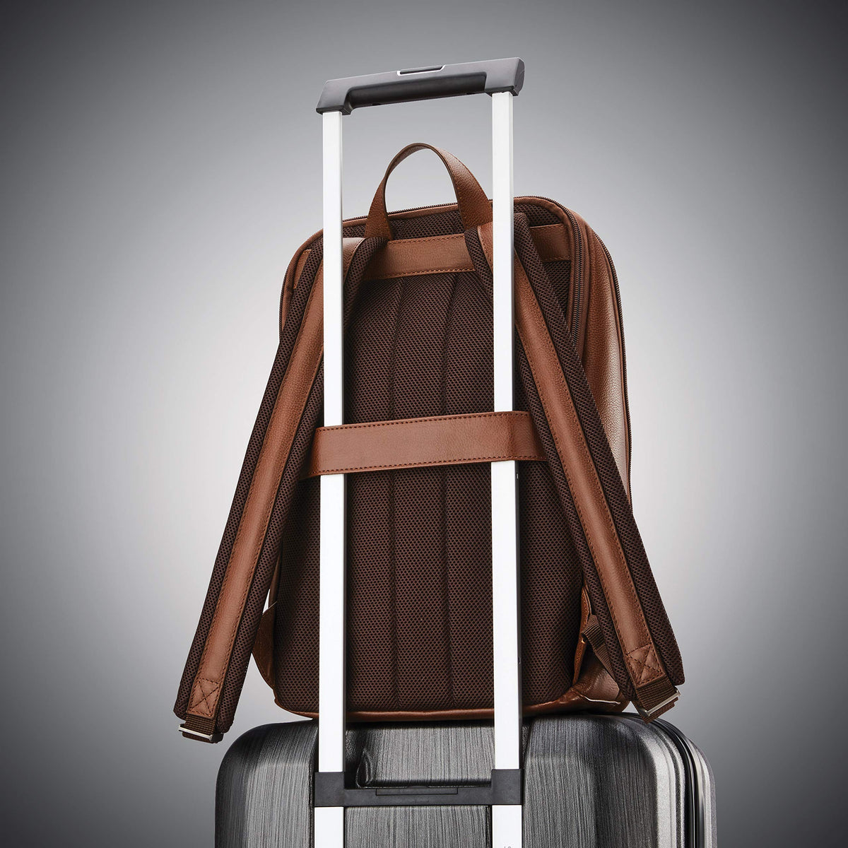 Samsonite 36 Litres 126036-1221 Backpack (Brown)