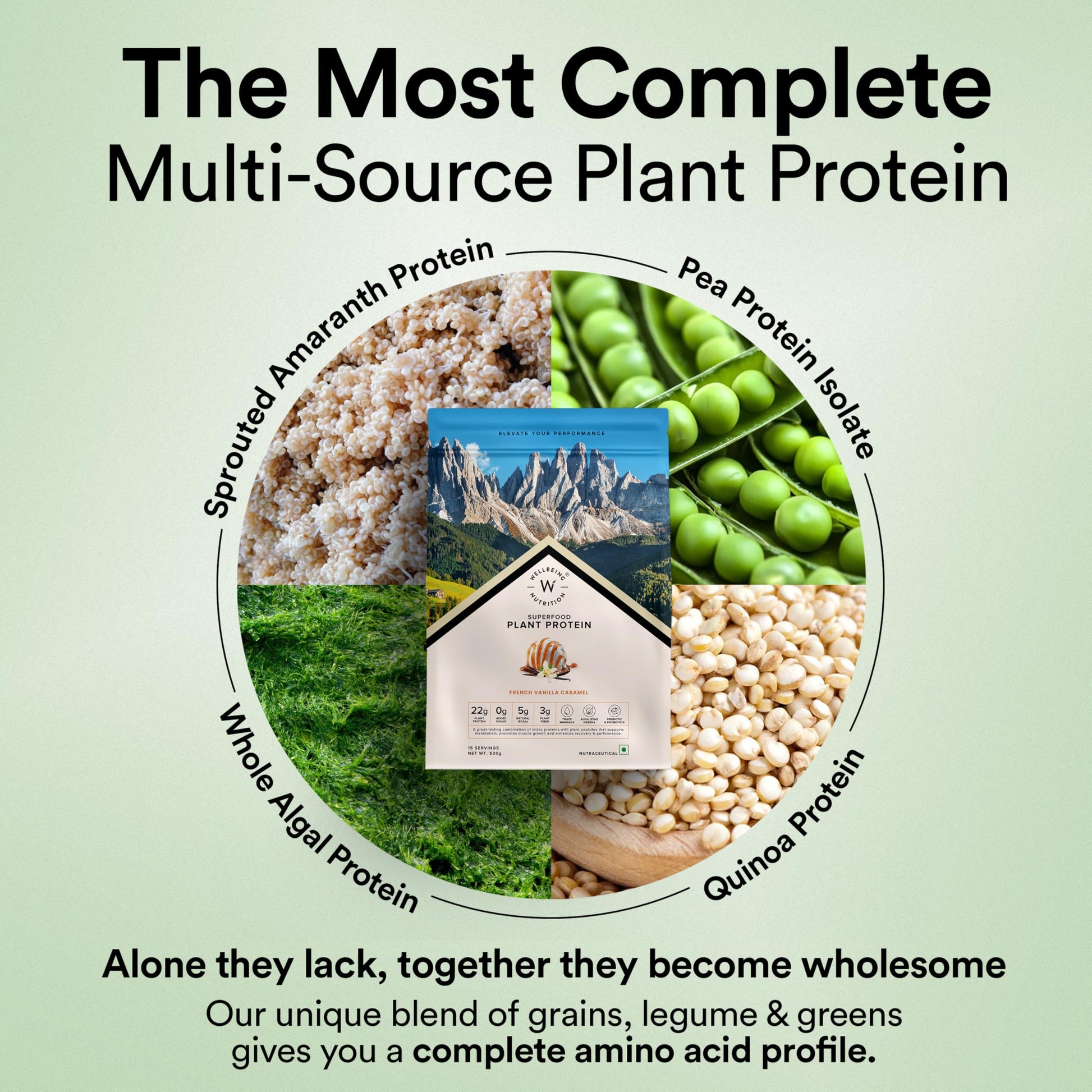 Wellbeing Nutrition Organic Vegan Plant Protein Isolate| 22g Protein, 5- image 5