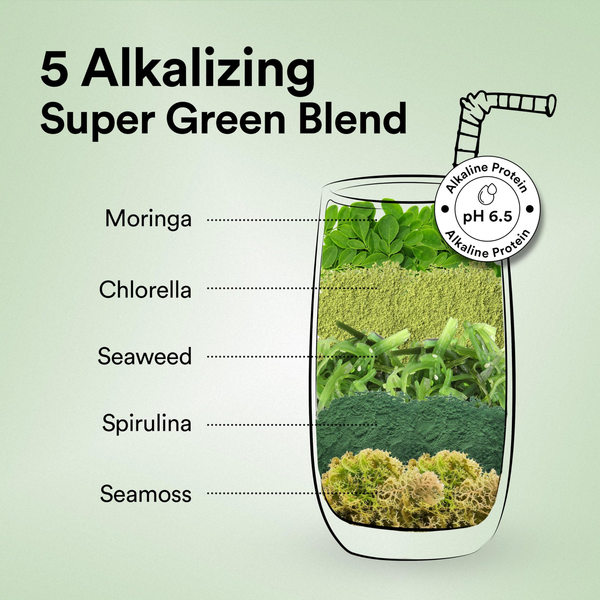 Wellbeing Nutrition Organic Vegan Plant Protein Isolate| 22g Protein, 5- image 2