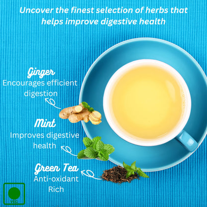 Tattva Adih Ginger Mint Green Tea 100g 60+ Cups | Aids Digestion | Refreshing Whole Green Tea & Natural Ginger Mint (100 grams (Ziplock Pouch))