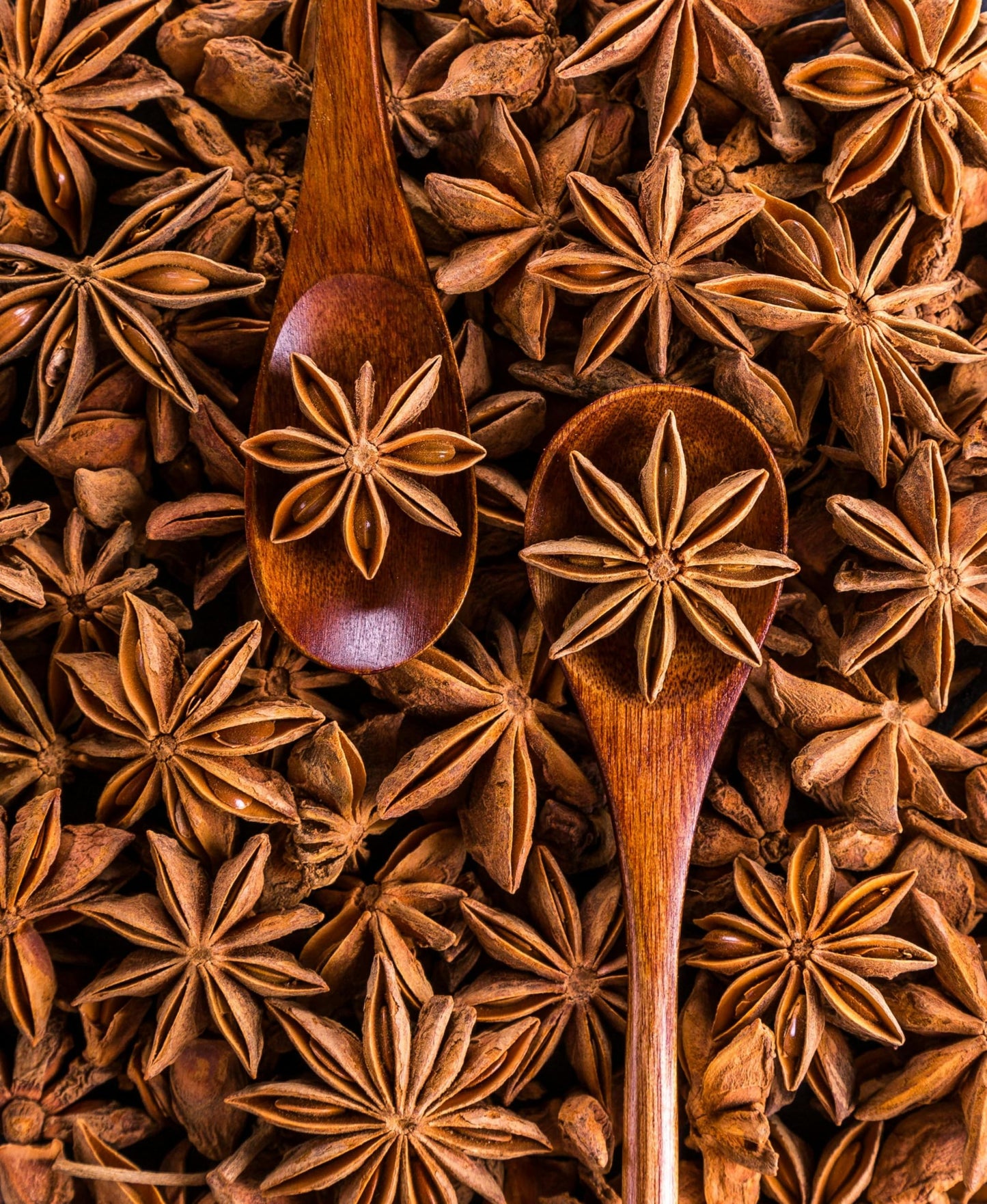 F2K Farm to Kitchen Star Anise Chakra Phool Seeds-Unlock The Unique Flavor And Aroma For Culinary Adventures, Secret Ingredient For Asian Inspired Dishes,25 Grams