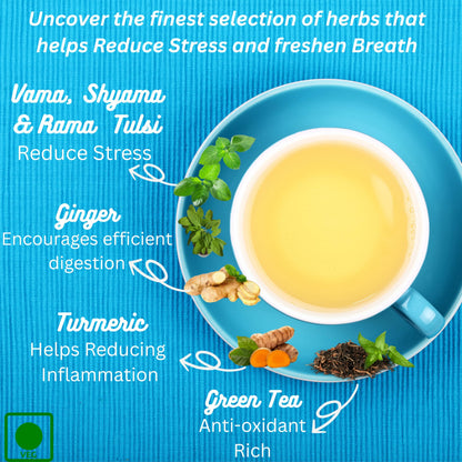 Tattva Adih Ginger Tulsi Turmeric Green Tea 100g 60+ Cups | For Immunity Boosting, Digestion and Sore Throat | 100% Whole Leaf green Tea (100 grams (Ziplock Pouch))
