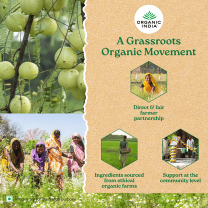 Organic India Triphala 60 Capsules Bottle- image 4