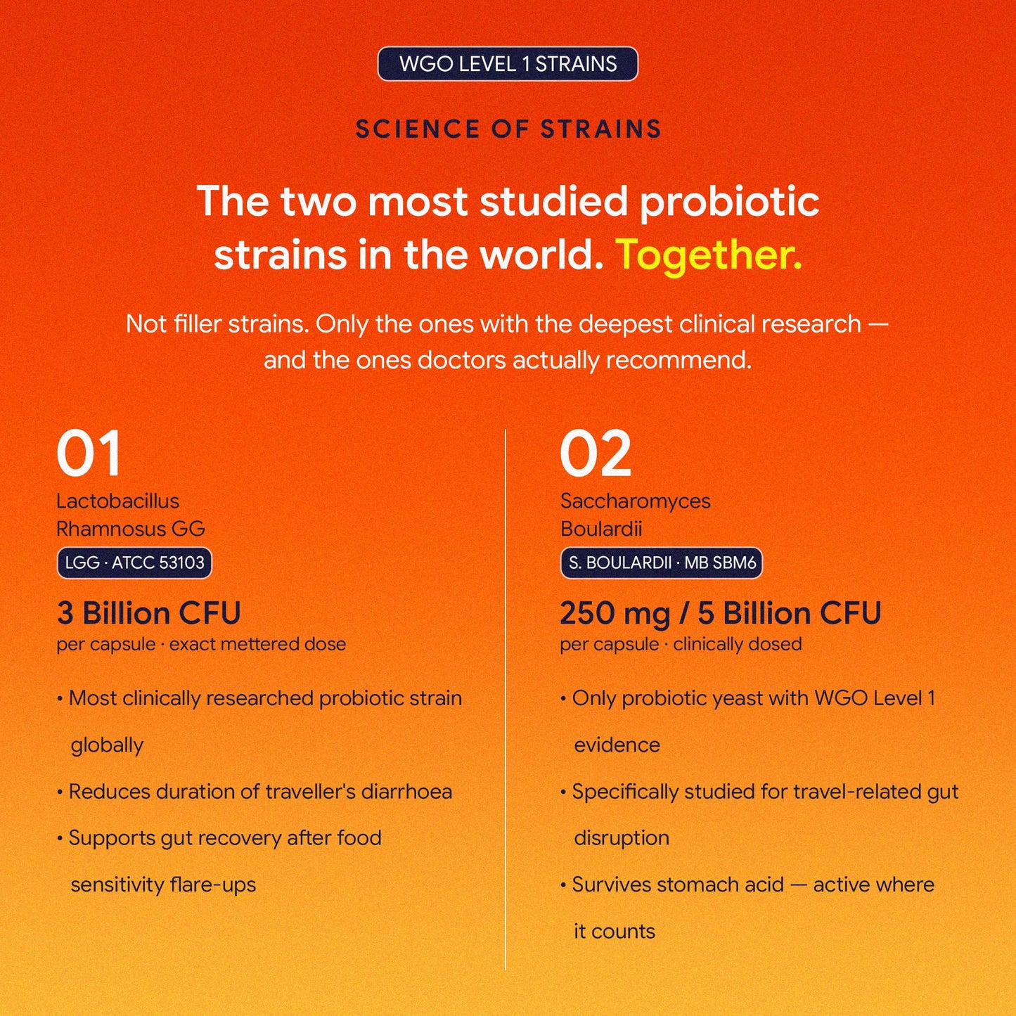 TrueNorth SensiBiotics Traveller’s Probiotics | 11 Billion CFU + 50mg FOS Prebiotics | LGG + Saccharomyces Boulardii | Travel Diarrhoea & Sensitive Gut | Smart Release Technology | 30 Veg Capsules