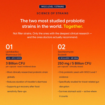 TrueNorth SensiBiotics Traveller’s Probiotics | 11 Billion CFU + 50mg FOS Prebiotics | LGG + Saccharomyces Boulardii | Travel Diarrhoea & Sensitive Gut | Smart Release Technology | 30 Veg Capsules