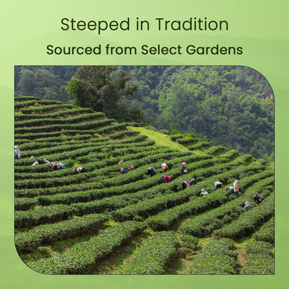 Teamonk Bodh USDA Certified Organic Darjeeling Second Flush Black Tea Leaves (No powder, 50 Cups) - 100 g. Boosts Energy. Antioxidant Properties. Boosts Heart Health and Helps reduce Blood pressure