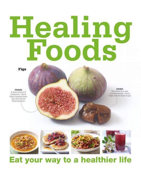 Ebook - Healing Foods - Shahi Feast