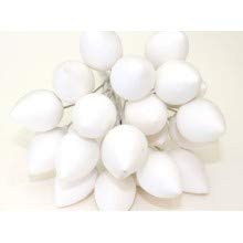 iCraft Pointed Styrofoam Buds 25 mm Pack of 20 Pcs for Flower Making, Fondant Flowers,Gum Paste Flowers,Cake Decoration and Baking Tools.