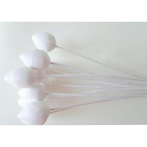 iCraft Pointed Styrofoam Buds 25 mm Pack of 20 Pcs for Flower Making, Fondant Flowers,Gum Paste Flowers,Cake Decoration and Baking Tools.