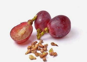 Herbal Engine Grape Seeds (Certified BlackBlue GrapeSeed) 250gm