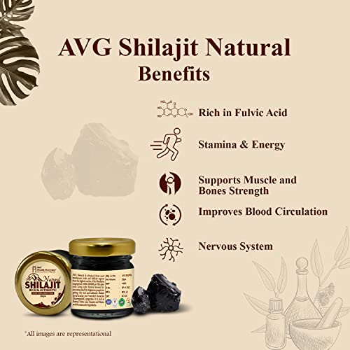 AVG Health Organics Himalayan Shilajit/Shilajeet Resins, for Vigour, Vitality & Endurance, 20g