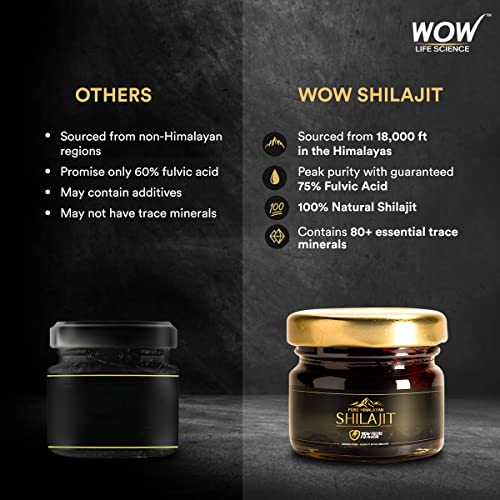 WOW Life Science Pure Himalayan Shilajit/Shilajeet Resin - 20g