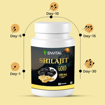 Envital Pure shilajit | 60 capsules | Premium Shilajit Capsule with Original Shilajit Extract