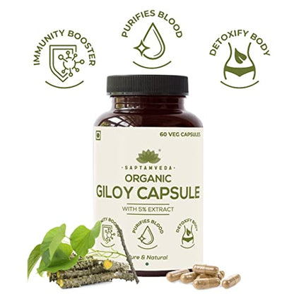 Saptamveda Premium Giloy 60 Veg Capsules, 500 MG Each with Natural Extract - Guduchi