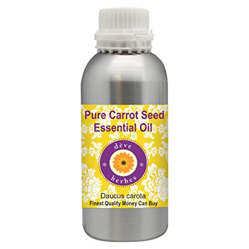 Deve Herbes Pure Carrot Seed Essential Oil (Daucus carota) Natural Therapeutic Grade Steam Distilled 630ml