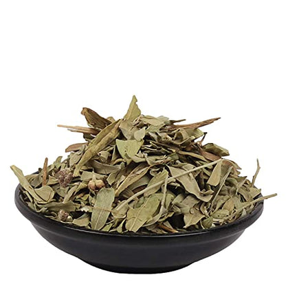 YUVIKA Rasna Leaves - Ray Sanay - Rai Senna - Pluchea lanceolata (100 Grams)