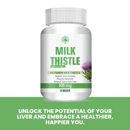 Healthy Nutrition Milk Thistle - Liver Support Supplement for Men & Women Veg (60 Capsules)