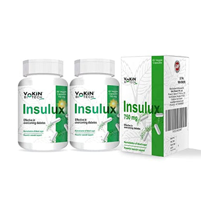 Vokin Biotech Herbal Insulux For Endocrine Health & Diabetes Control 750mg 60 Capsules (Pack of 2)