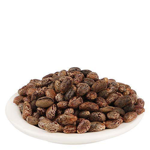 YUVIKA Beej Arandi - Ricinus Communis Linn - Castor Seeds (200 Grams)