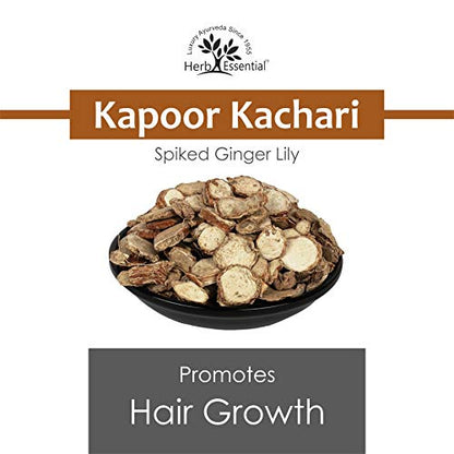 Herb Essential Kapoor Kachari Powder, 100 g