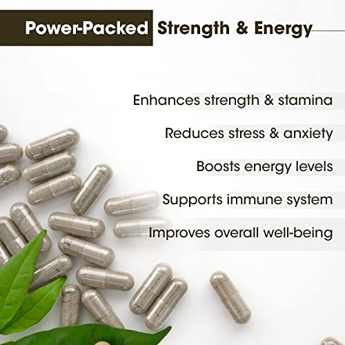 TAC - The Ayurveda Co. Shilajit Capsules for Men With Power of Natural Shilajit & Ashwagandha, Helps Boost Immunity, 60 Capsules