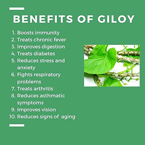 Herbal Hills Giloy Tablets, Guduchi Tablets Immunity Wellness (700 Tablets)