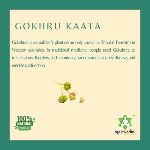 Ayurvedix Gokhru Kaata Ark | Gokshura Distillate for Kidney Stone, Urinary Disparity, PCOS | 200 ML (Pack of 1)