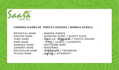 Saara HERBAL FRESH Thotta Sinungi Leaves Powder, 400g, Mimosa Pudica Powder,Lajalu,Ajalikalika, Sleepy Plant Powder, (4 x 100g)