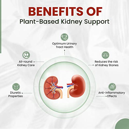 Himalayan Organics Plant Based Kidney Support | Cleanser | Purifier | Patarchata, Fennel, Punernava | 60 Veg Capsules