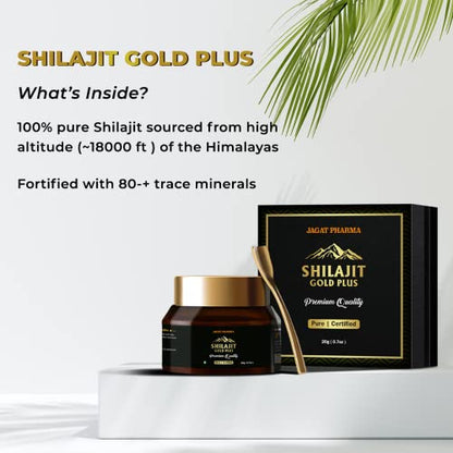 Jagat Pharma Himalayan Shilajit/Shilajeet Resin 20g - Performance Booster for Endurance and Stamina