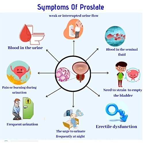 Jivan Shree Prostate Formula for healthy Prostate Care support Supplement for men Flow With Saw Palmetto Pygeum Nettle Root & Craneberry 60 Capsules