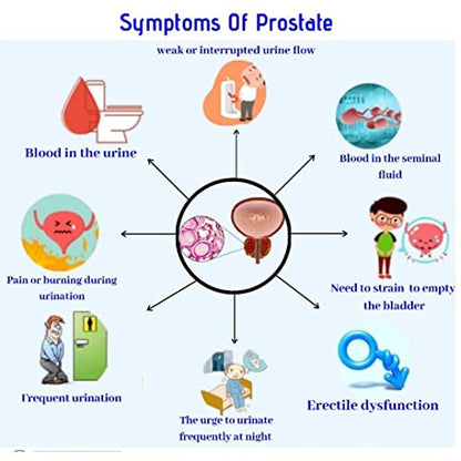 Jivan Shree Prostate Formula for healthy Prostate Care support Supplement for men Flow With Saw Palmetto Pygeum Nettle Root & Craneberry 60 Capsules