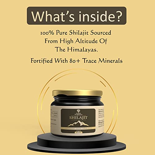 Indus Organics Pure Himalayan Original Shilajit/Shilajeet Resin (25gm) for Strength | Stamina | Focus | Vitality | Performance | Certified | Pack of 1