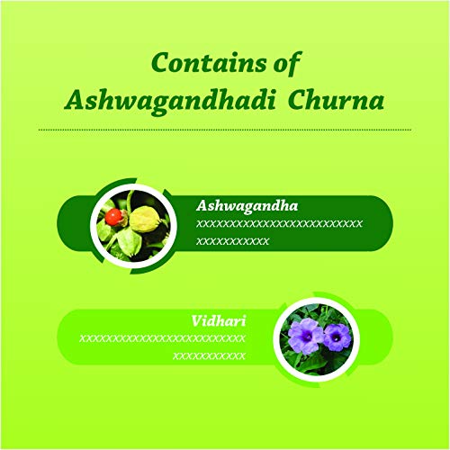 Baidyanath Ashwagandhadi Churna | Ashwagandha Helps to increase Immunity & Stamina - 100 g