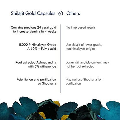 Kapiva Shilajit Gold 60 Capsules | Contains 24 Carat Gold | Boosts Stamina In 4 Weeks | 100% Ayurvedic