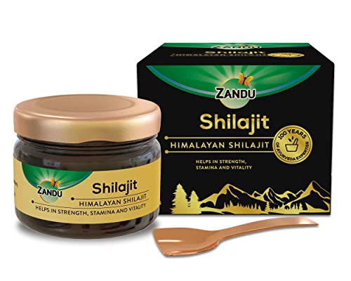 Zandu Pure Himalayan Shilajit Resin| Natural & Ayurvedic| Helps Enhance Strength & Stamina | Maintains Overall Holistic Wellness-Pack of 20 g