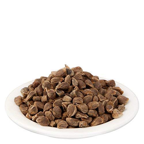 YUVIKA Beej Bidhara Asli - Vidhara Seeds - Vruddhadaru (50 Grams)