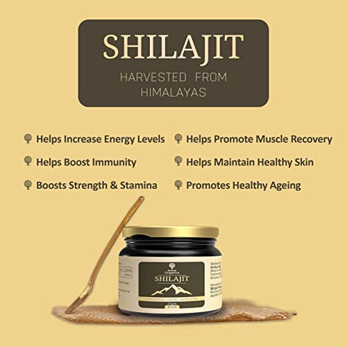 Indus Organics Pure Himalayan Original Shilajit/Shilajeet Resin (25gm) for Strength | Stamina | Focus | Vitality | Performance | Certified | Pack of 1