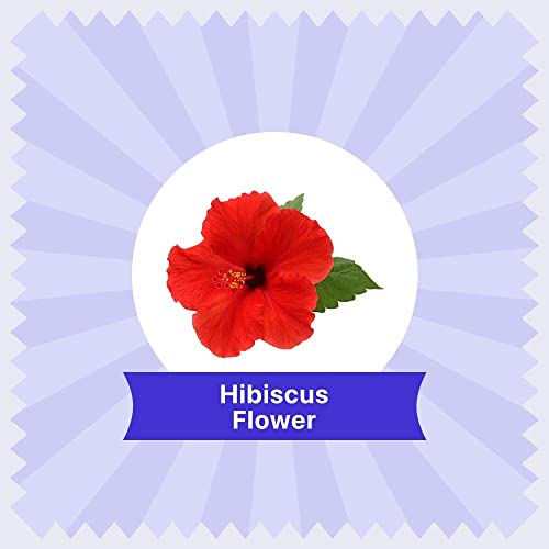 Hibiscus Flower Herbal Tea