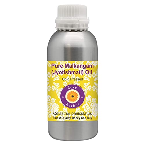 Deve Herbes Pure Malkangani (Malkangani/Jyotishmati) Oil (Celastrus paniculatus) Natural Therapeutic Grade Cold Pressed 1250ml