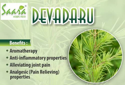 SAARA Deodar Wood Powder | Cedrus Deodara Powder | Himalayan Cedar Wood | Devadaru Wood Cedar Tree Powder 100g