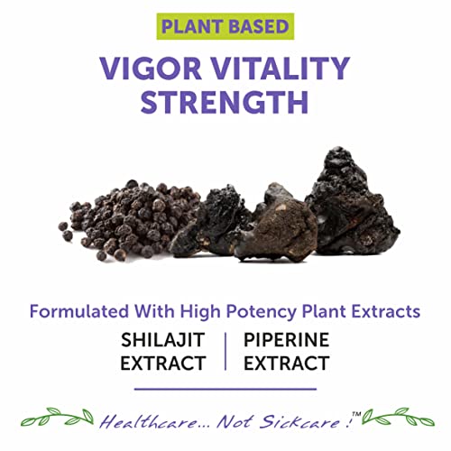 Bliss Welness Shilajit Vitality Vigor | Pure Shilajit Extract (1000mg) | Enhanced Stamina & Endurance Ayurvedic Supplement - 60 Veg Tablets