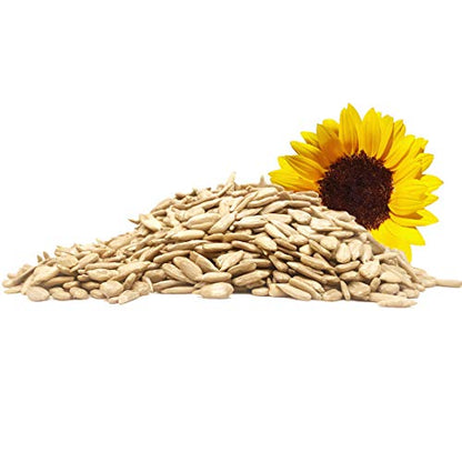 YUVIKA Sunflower Seeds - Surajmukhi Magaj (200 Grams)