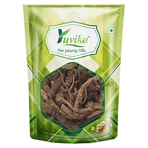 Yuvika Kutki Picrorhiza Kurroa Hellabore (100g)