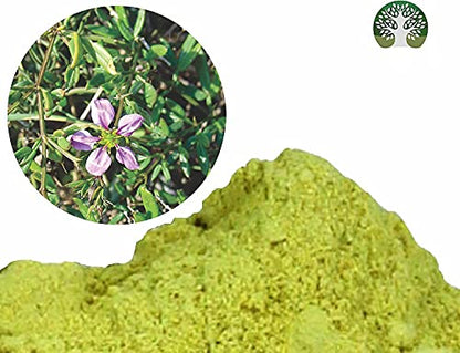 AYURVEDASHREE Fagonia cretica Powder 100 Gm | Dhamasa | Gluten Free | Non GMO | Vegan