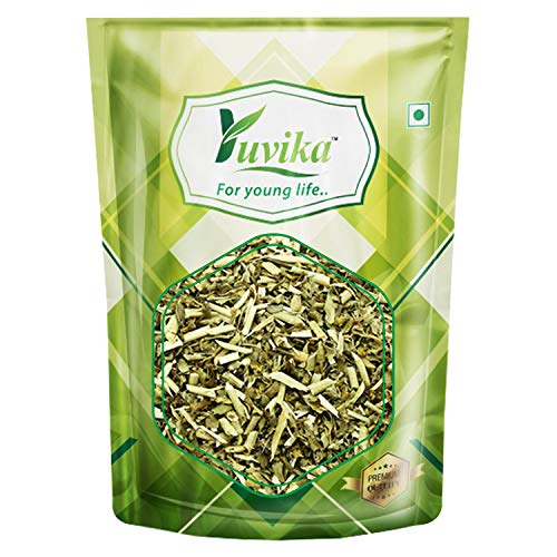 YUVIKA Berge Suddav - Burge Suddab - Berge Sudab - Ruta Graveolens - Garden Rue (200 Grams)